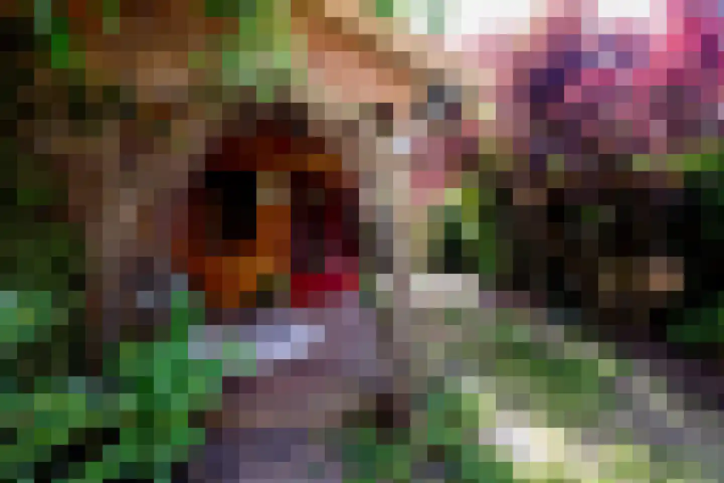 Staringstraat 14 Groningen thumbnail 54
