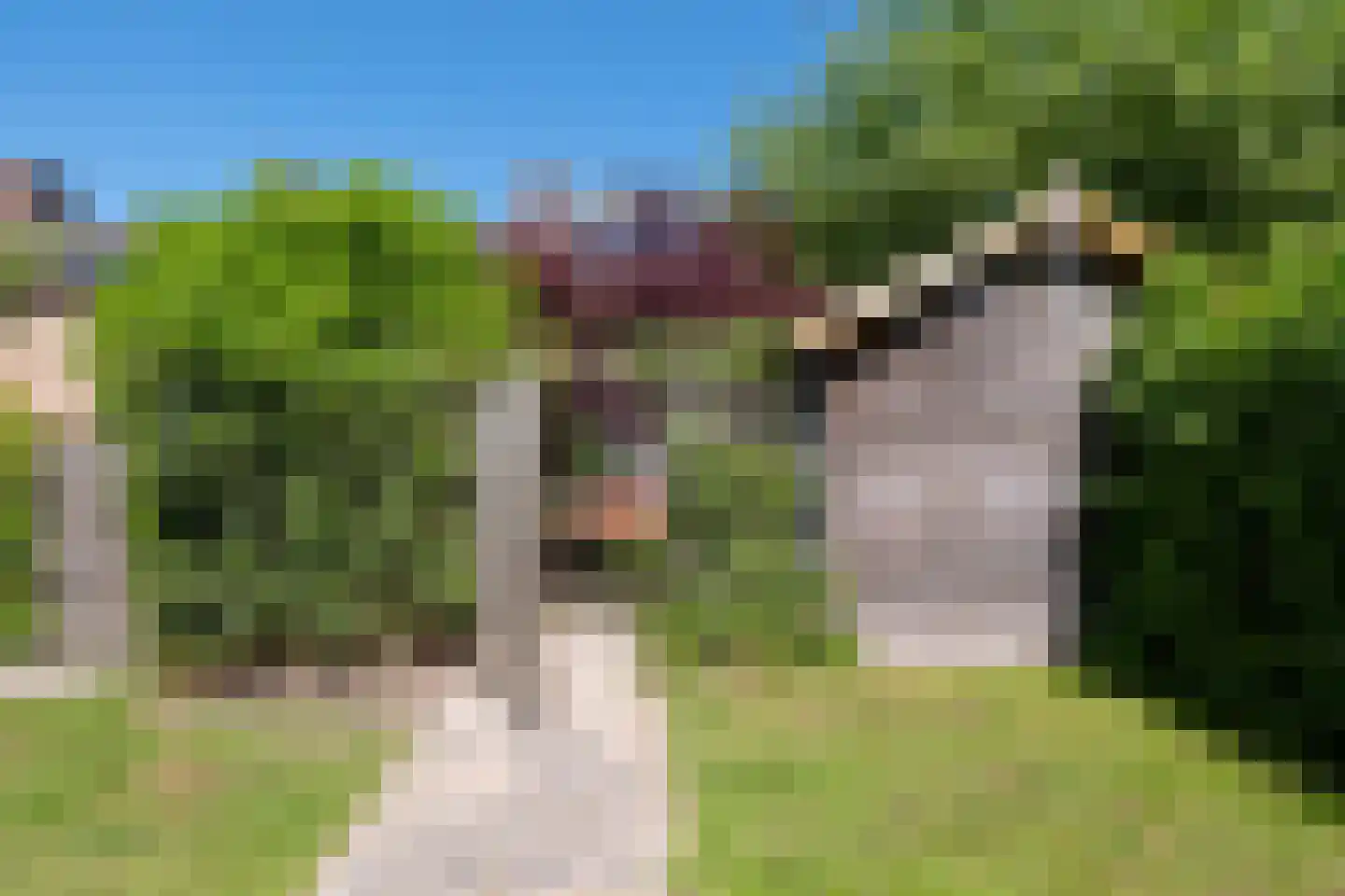 Staringstraat 14 Groningen thumbnail 55