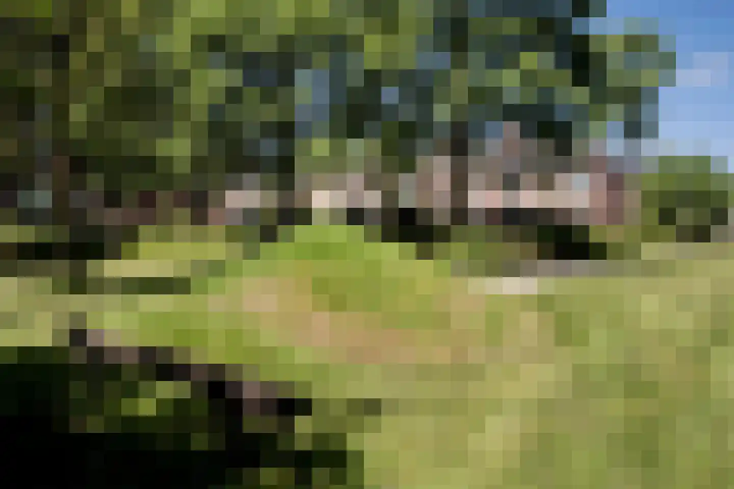 Staringstraat 14 Groningen thumbnail 58