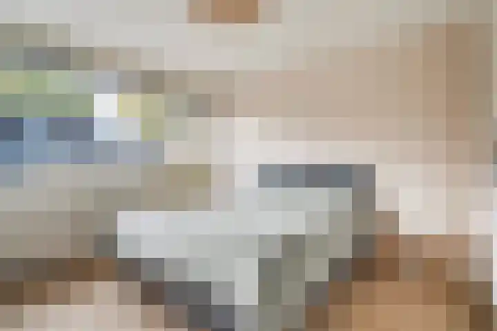 Staringstraat 14 Harderwijk thumbnail 4