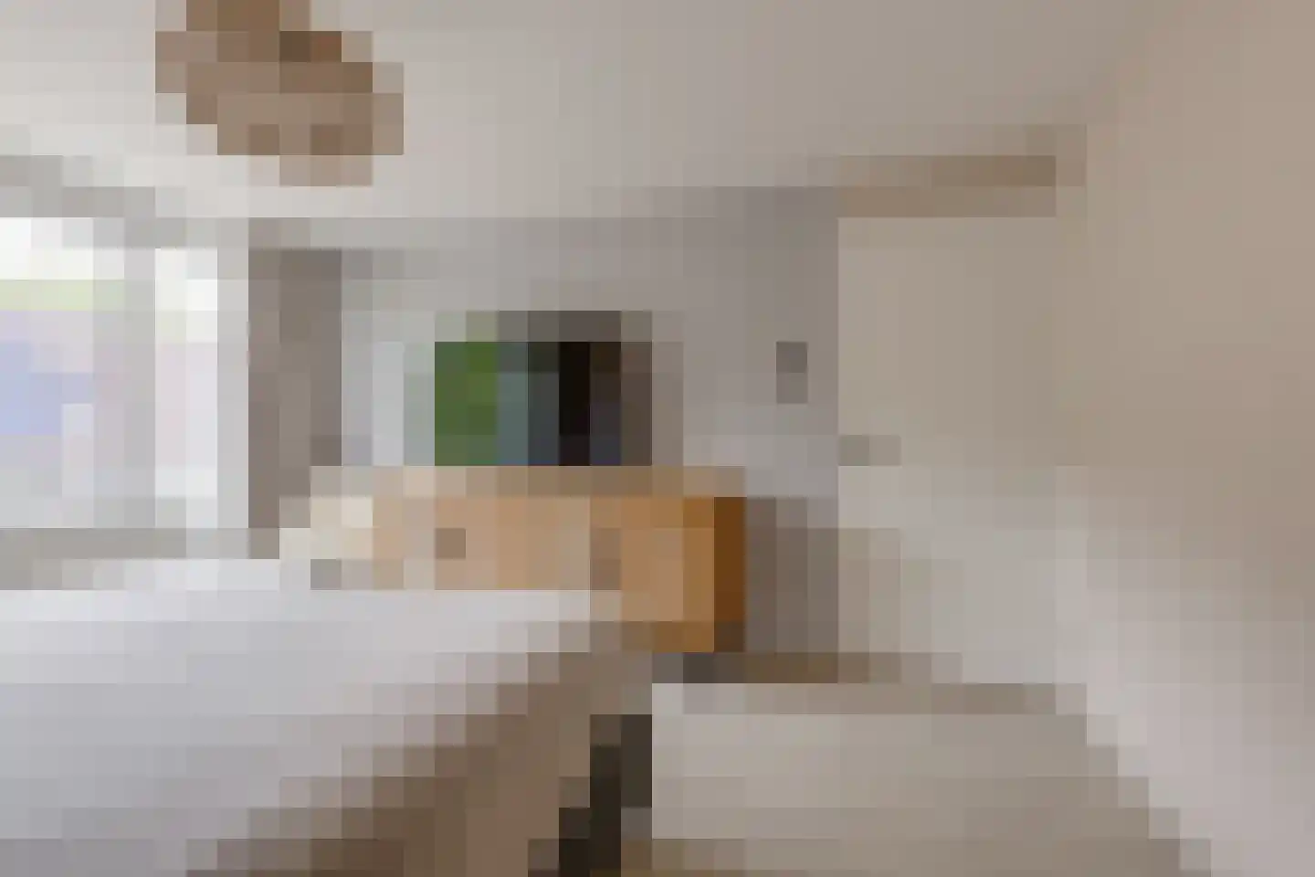 Staringstraat 14 Lichtenvoorde thumbnail 27