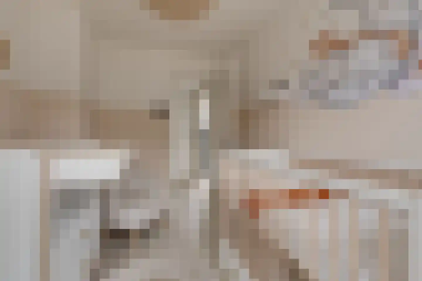 Staringstraat 14 Lichtenvoorde thumbnail 33