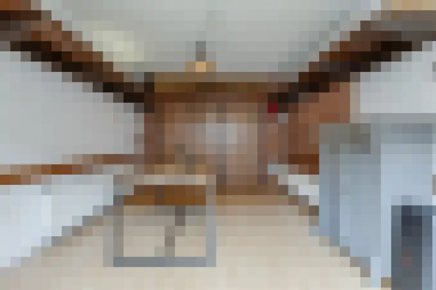 Staringstraat 14 Lichtenvoorde thumbnail 39