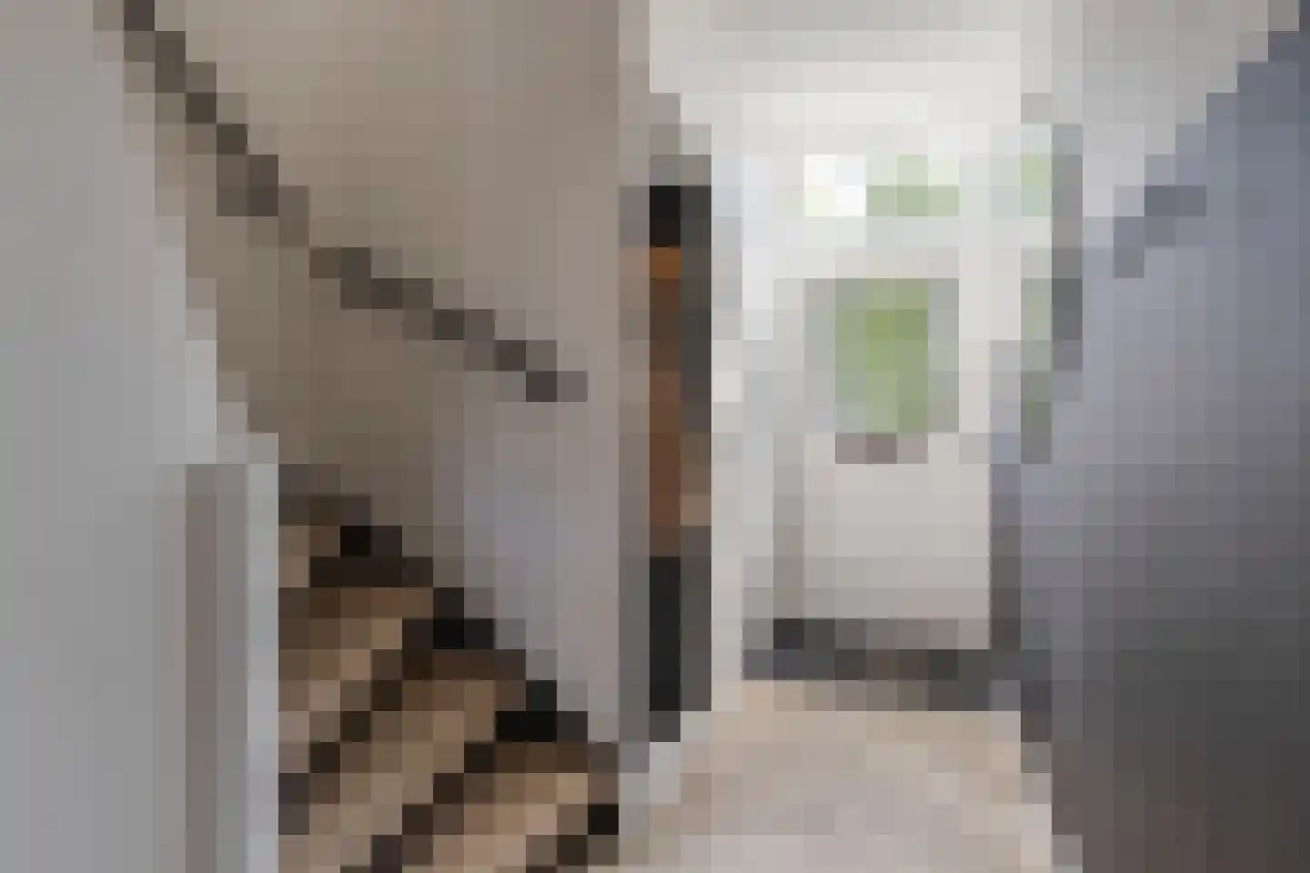 Staringstraat 14 Lichtenvoorde thumbnail 5