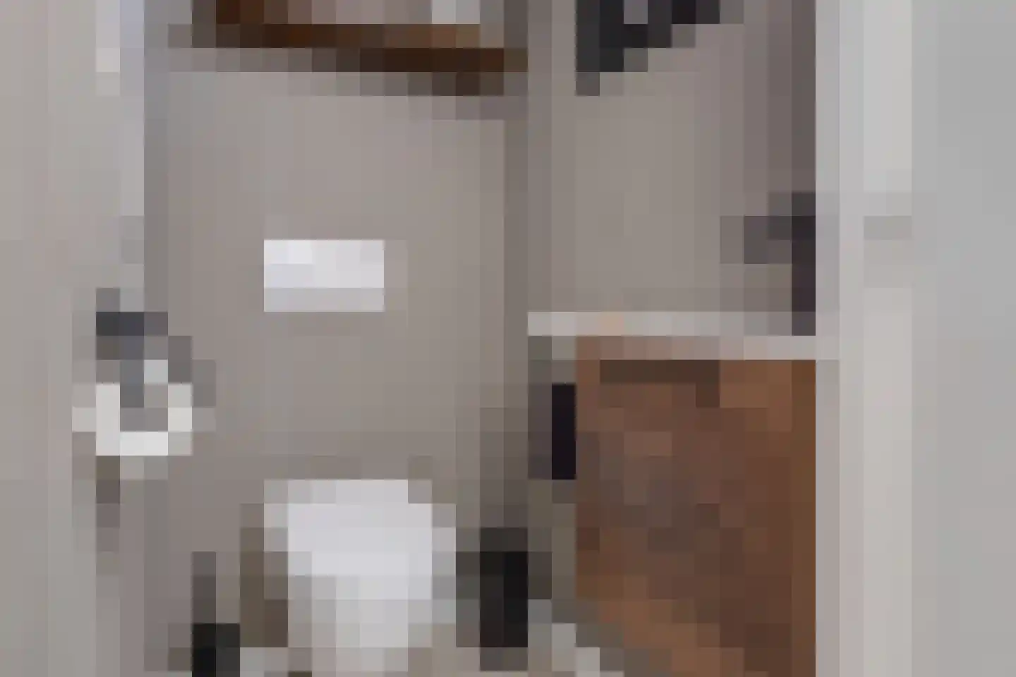 Staringstraat 14 Lichtenvoorde thumbnail 7