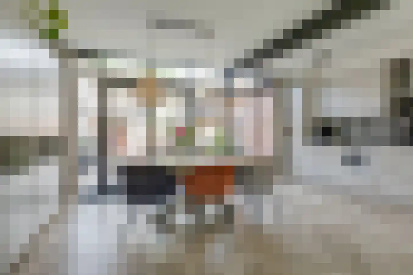 Staringstraat 14 Lichtenvoorde thumbnail 9