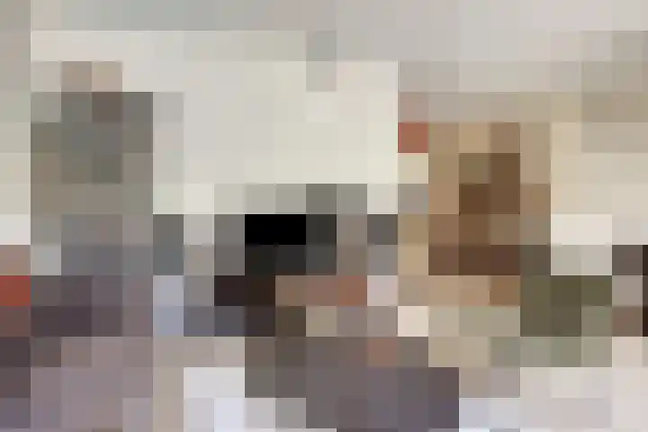 Staringstraat 147 Oss thumbnail 6