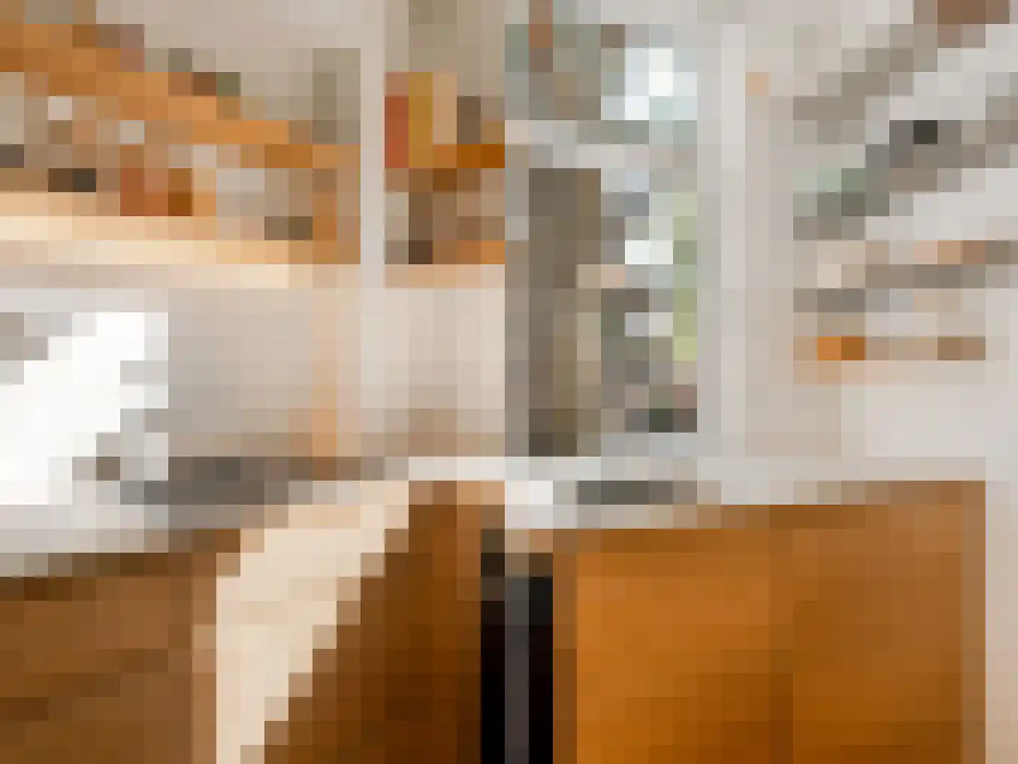 Staringstraat 18 1 Amsterdam thumbnail 11