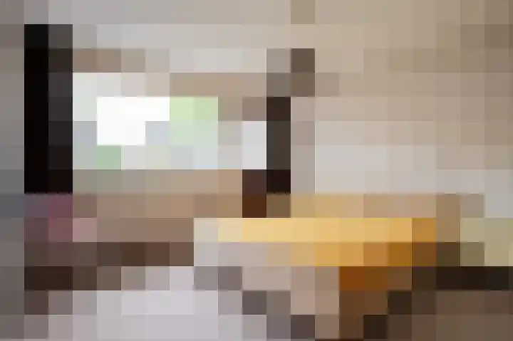 Staringstraat 18 Harderwijk thumbnail 23