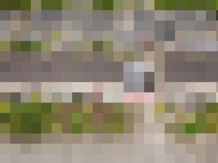 Staringstraat 18 Harderwijk thumbnail 42