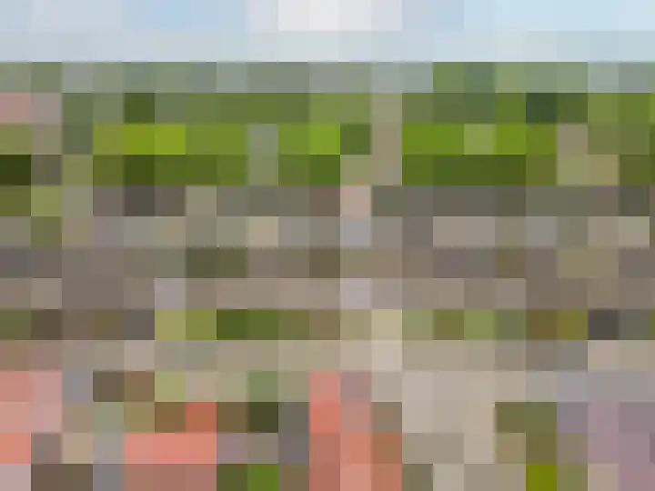 Staringstraat 18 Harderwijk thumbnail 44