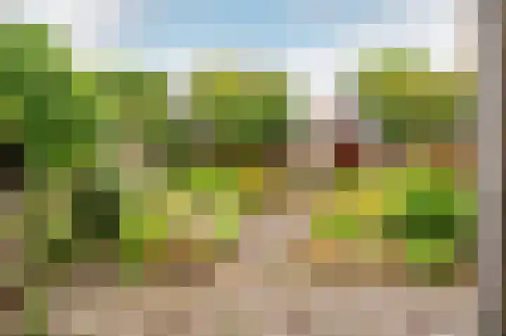 Staringstraat 18 Harderwijk thumbnail 6