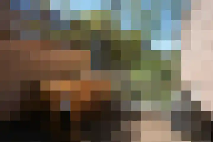 Staringstraat 18 Nijmegen thumbnail 7