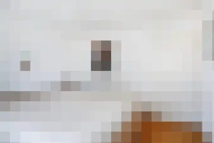 Staringstraat 183 Oss thumbnail 19