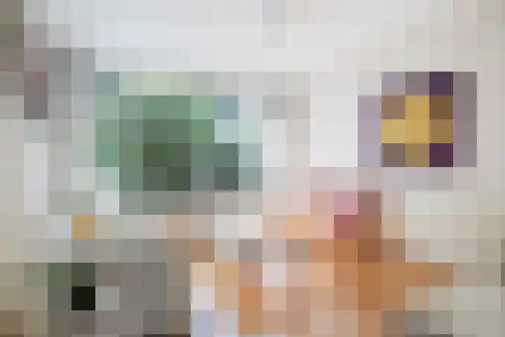 Staringstraat 183 Oss foto 2