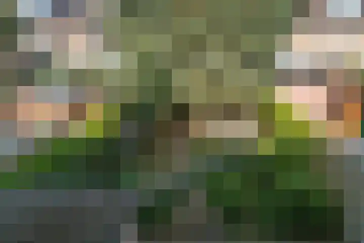 Staringstraat 183 Oss thumbnail 20