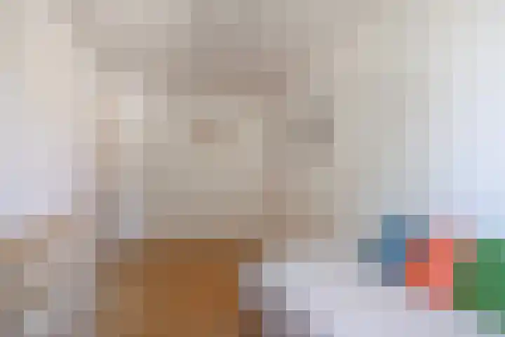 Staringstraat 183 Oss thumbnail 23