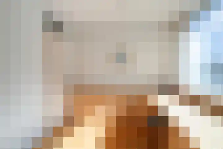 Staringstraat 183 Oss thumbnail 25