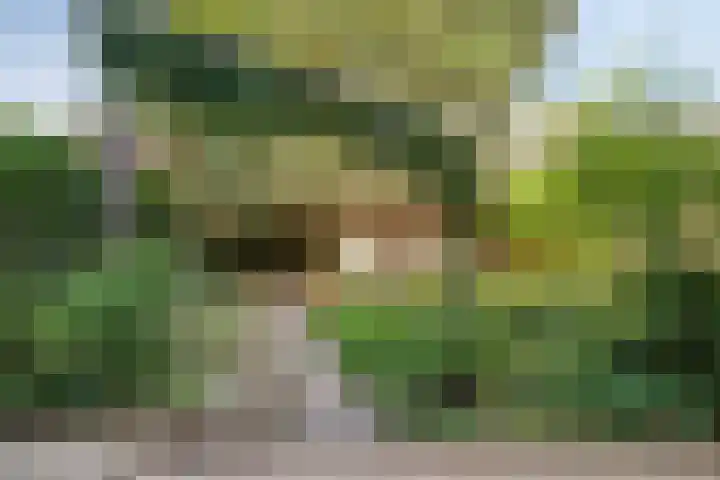 Staringstraat 183 Oss thumbnail 32