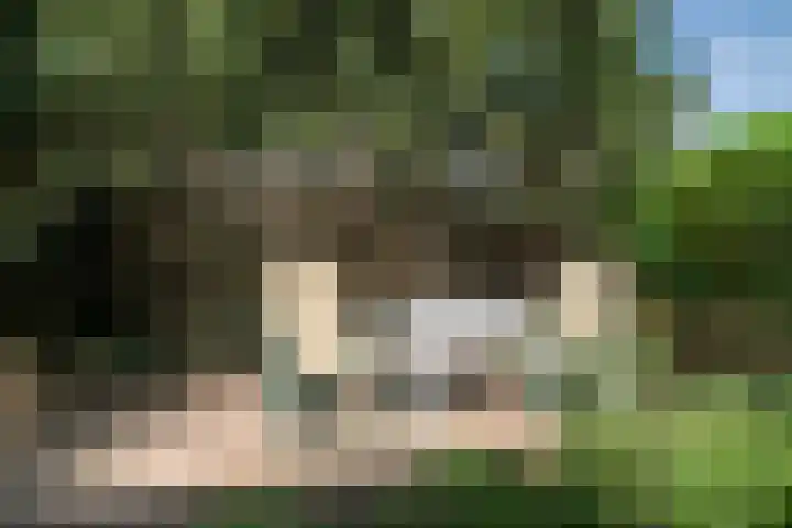 Staringstraat 183 Oss thumbnail 33