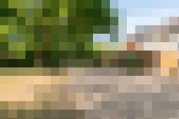 Staringstraat 183 Oss thumbnail 36