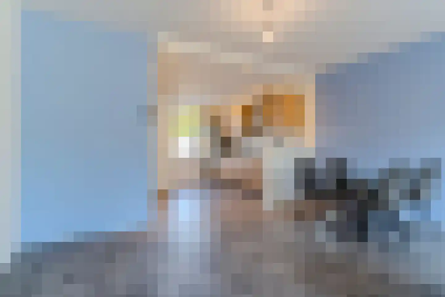 Staringstraat 184 Oss thumbnail 10