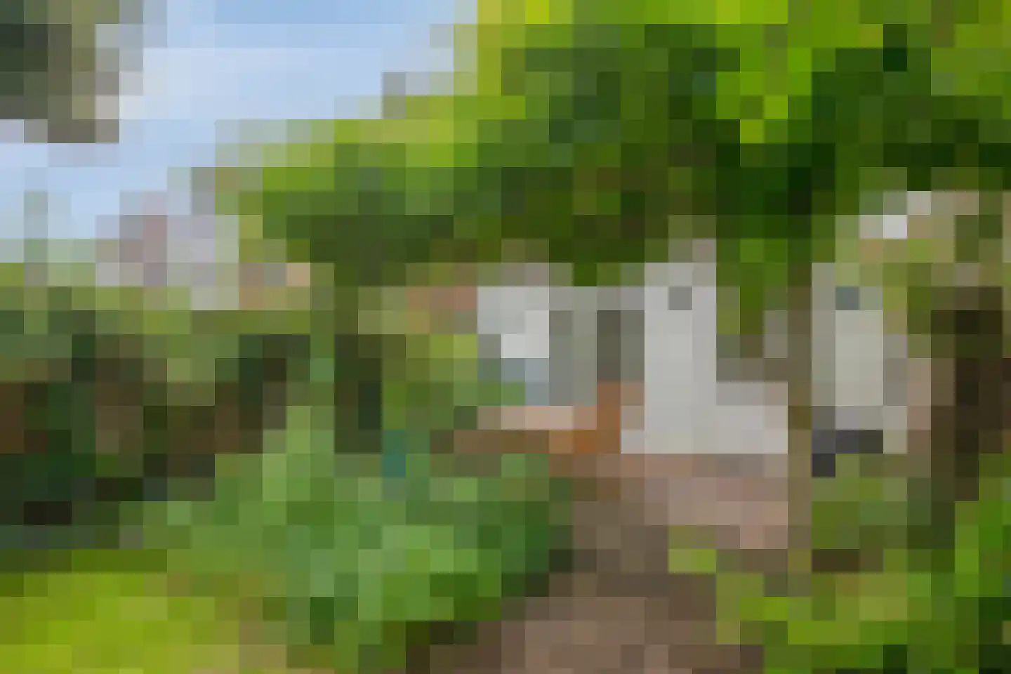Staringstraat 20 Arnhem thumbnail 4