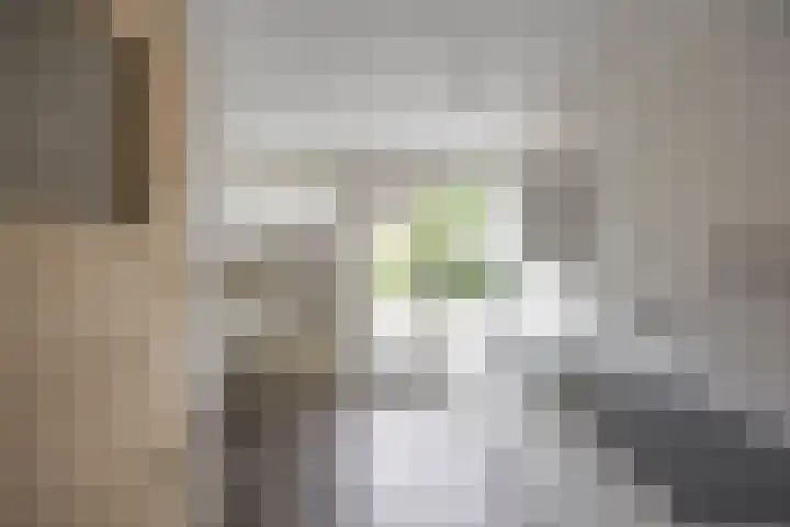 Staringstraat 20 Groningen thumbnail 6