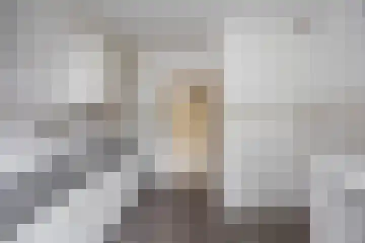 Staringstraat 20 Groningen thumbnail 8