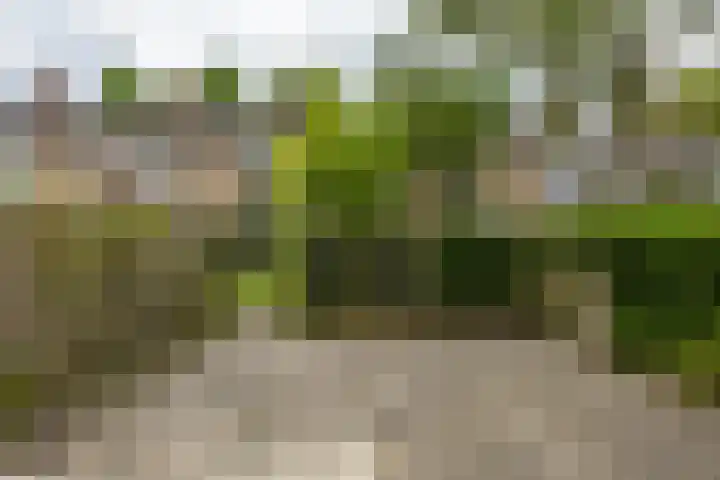 Staringstraat 20 Groningen thumbnail 9