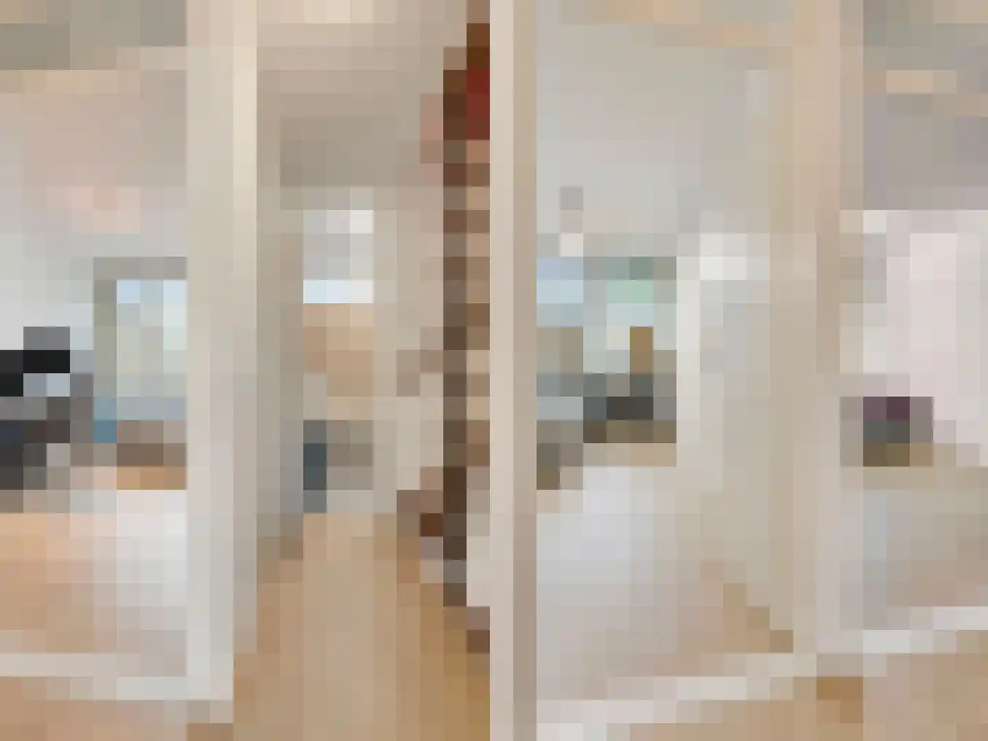 Staringstraat 202 Oss thumbnail 12