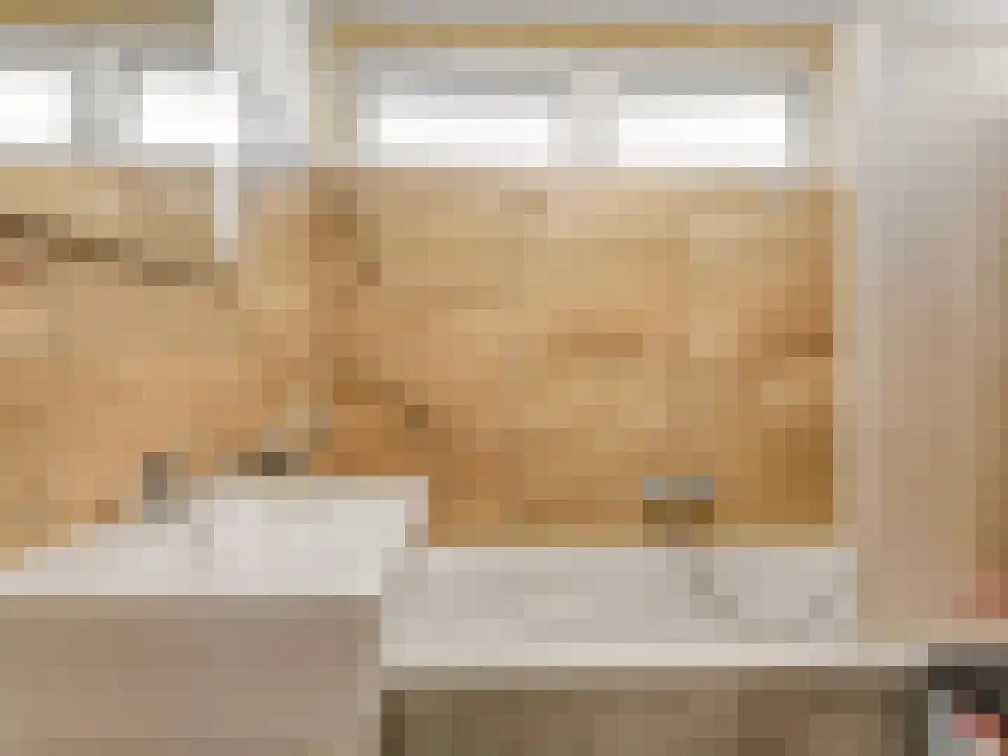 Staringstraat 202 Oss thumbnail 18