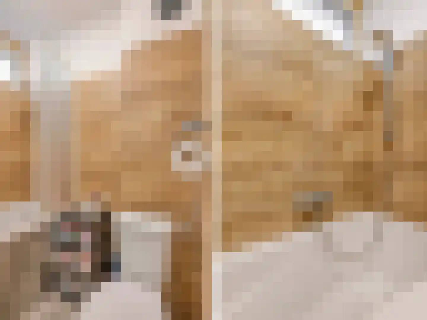 Staringstraat 202 Oss thumbnail 19
