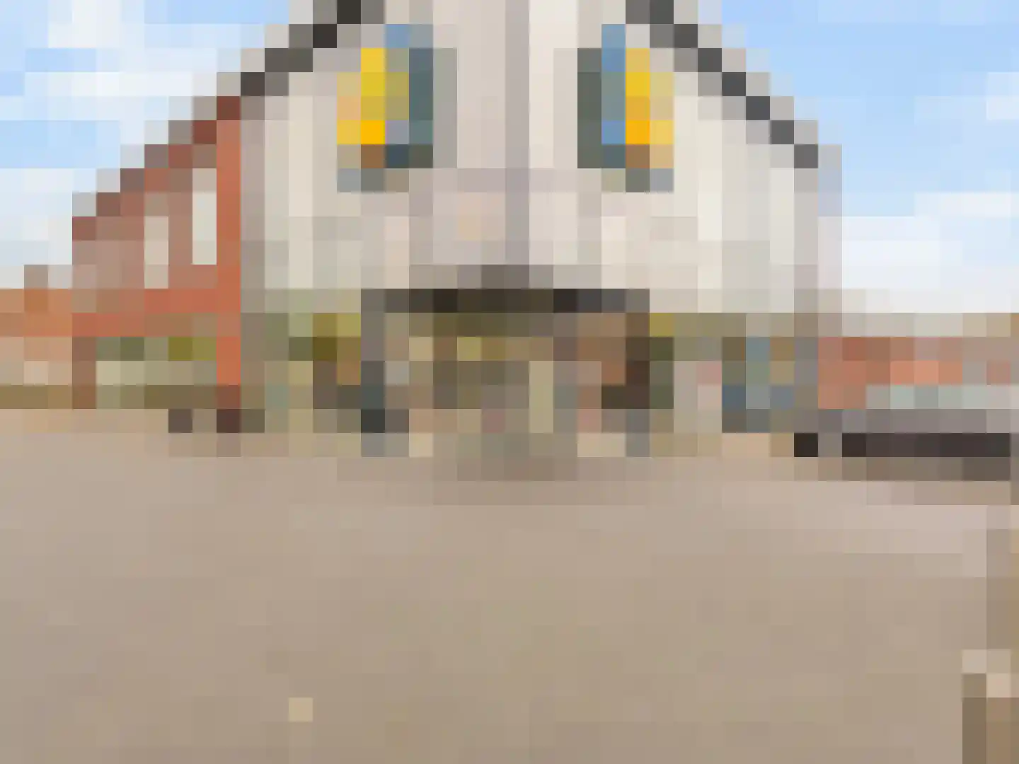Staringstraat 202 Oss thumbnail 31