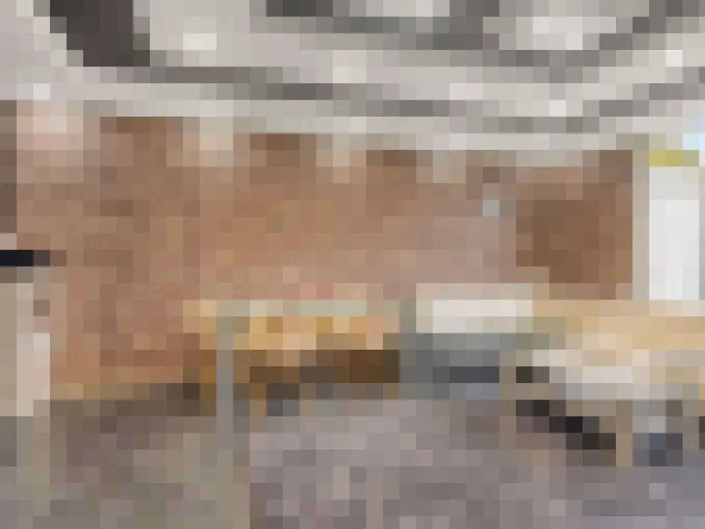 Staringstraat 202 Oss thumbnail 4