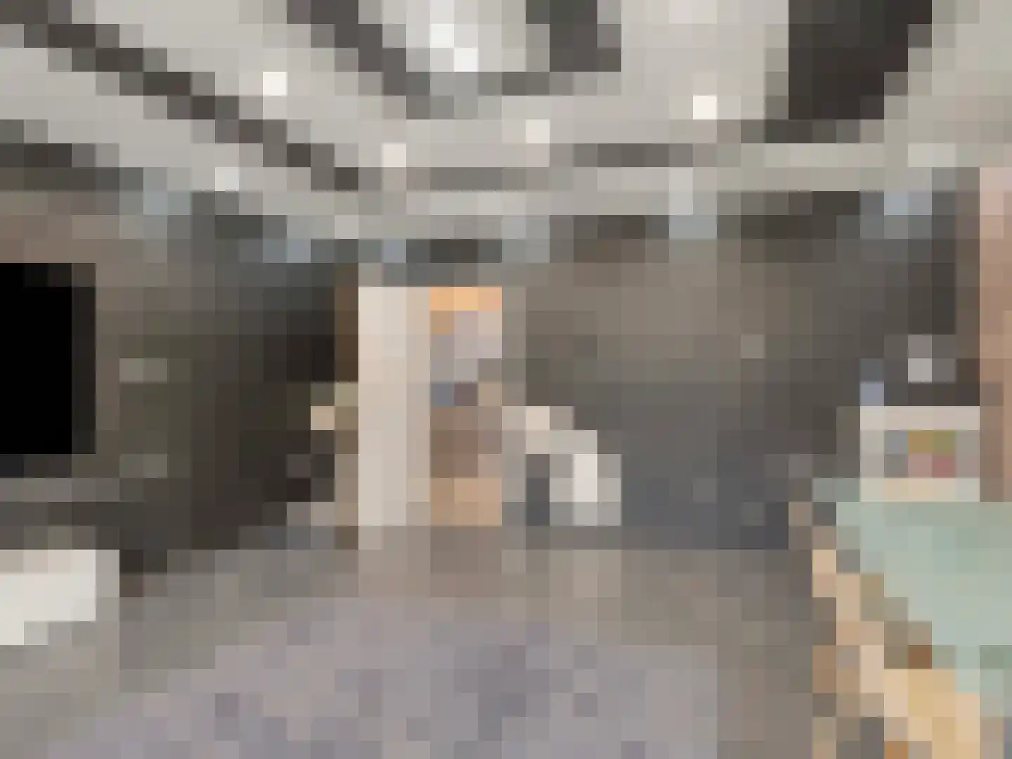 Staringstraat 202 Oss thumbnail 5