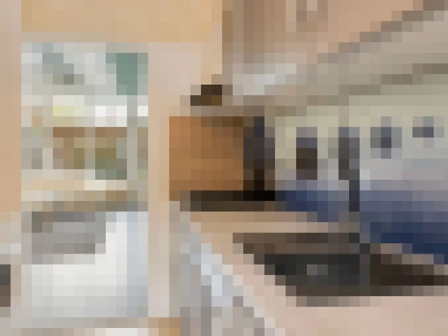 Staringstraat 202 Oss thumbnail 8