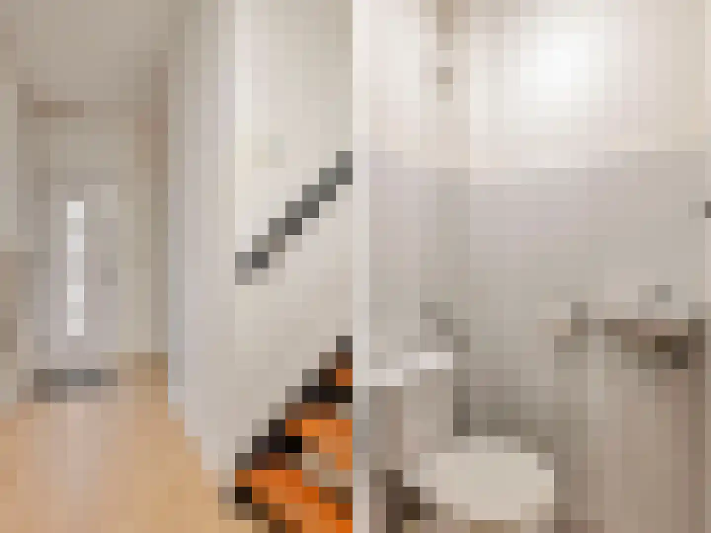 Staringstraat 202 Oss thumbnail 9