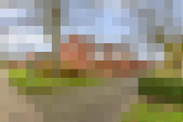 Staringstraat 21 Oss thumbnail 14