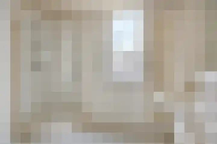 Staringstraat 21 Oss thumbnail 15