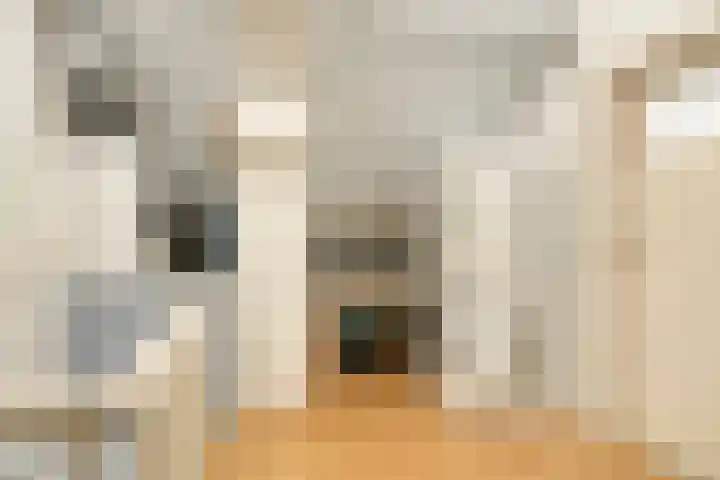 Staringstraat 21 Oss thumbnail 19