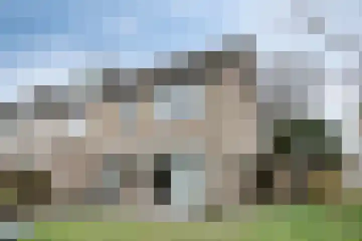 Staringstraat 21 Oss foto 2