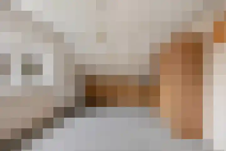 Staringstraat 21 Oss thumbnail 20