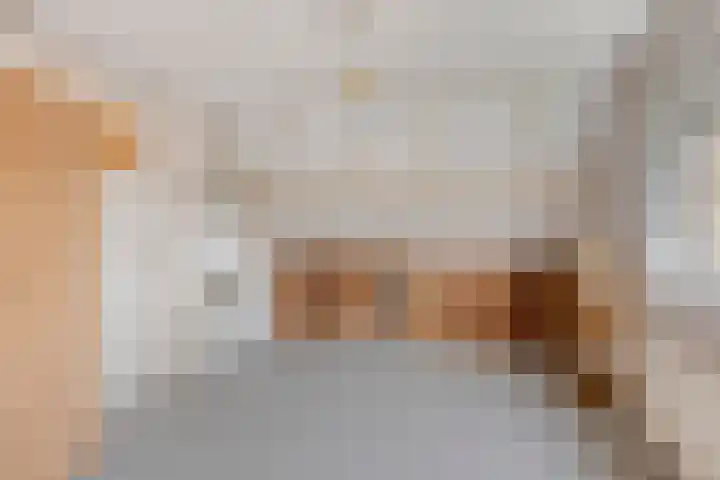 Staringstraat 21 Oss thumbnail 21