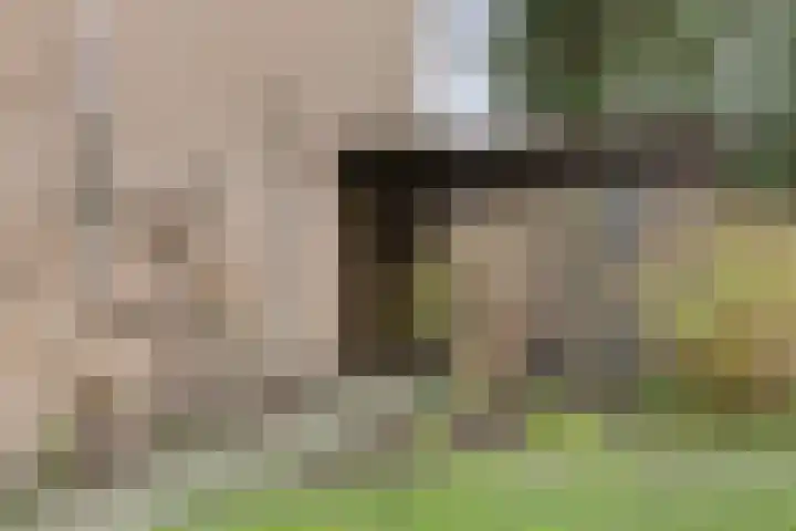 Staringstraat 21 Oss thumbnail 24