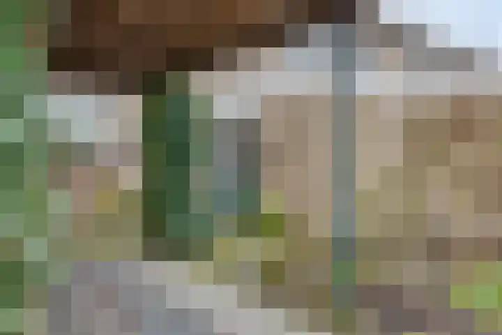 Staringstraat 21 Oss thumbnail 25