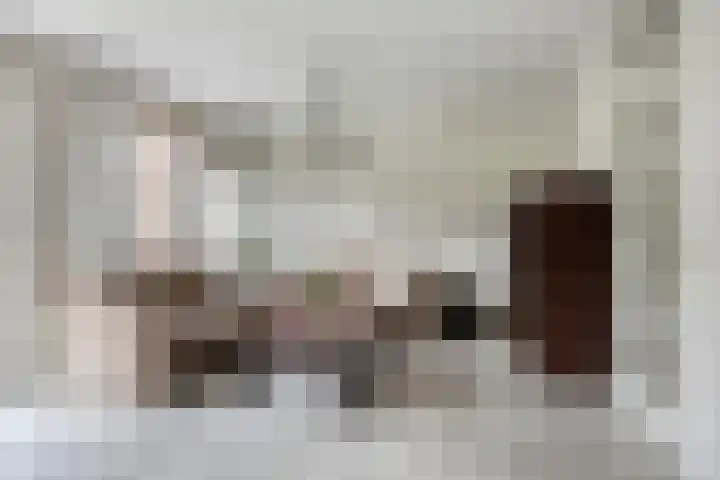 Staringstraat 21 Oss foto 3