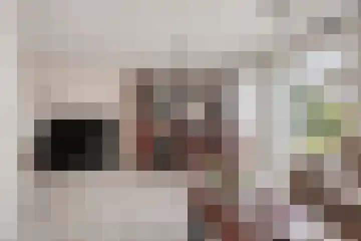 Staringstraat 21 Oss thumbnail 6