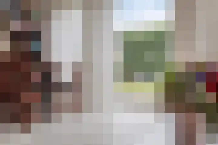 Staringstraat 21 Oss thumbnail 7