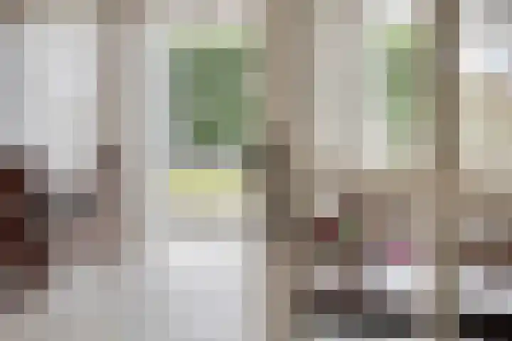 Staringstraat 21 Oss thumbnail 8